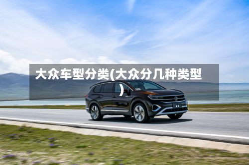 大众车型分类(大众分几种类型)
