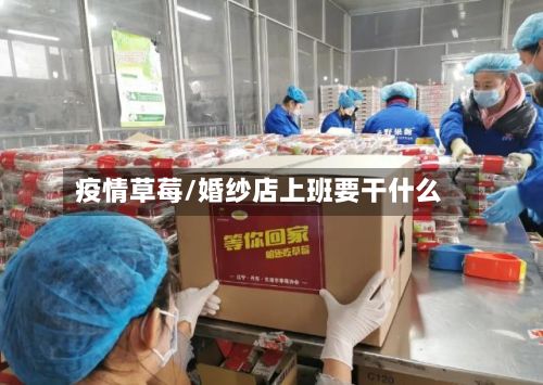 疫情草莓/婚纱店上班要干什么-第2张图片
