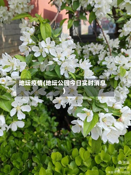 地坛疫情(地坛公园今日实时消息)-第2张图片