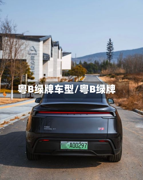 粤B绿牌车型/粤B绿牌-第2张图片