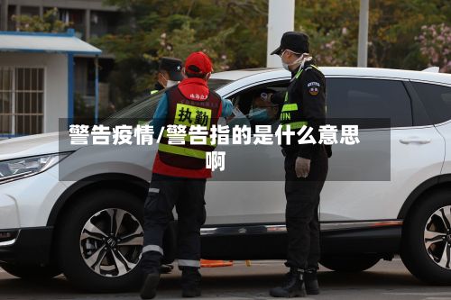 警告疫情/警告指的是什么意思啊