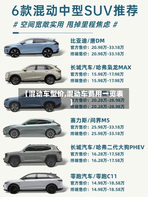 【混动车型价,混动车费用一览表】