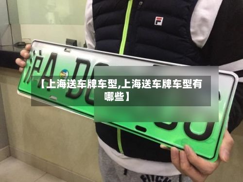 【上海送车牌车型,上海送车牌车型有哪些】-第3张图片