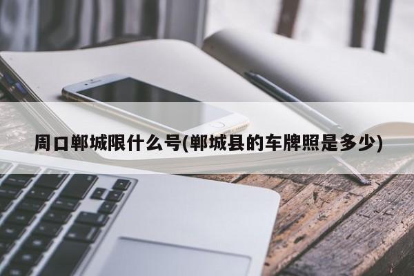 周口郸城限什么号(郸城县的车牌照是多少)