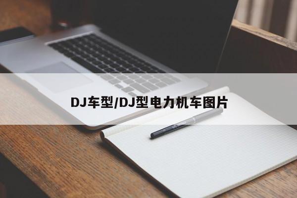 DJ车型/DJ型电力机车图片