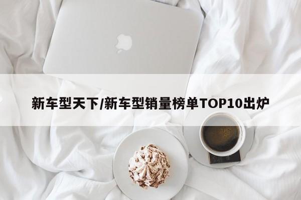 新车型天下/新车型销量榜单TOP10出炉