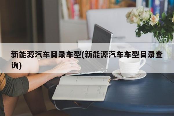 新能源汽车目录车型(新能源汽车车型目录查询)