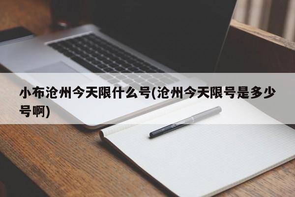 小布沧州今天限什么号(沧州今天限号是多少号啊)