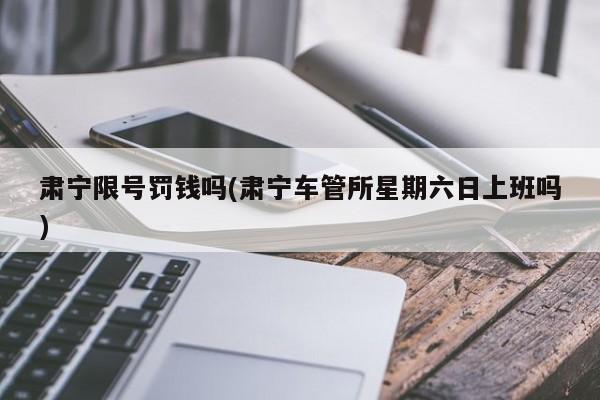 肃宁限号罚钱吗(肃宁车管所星期六日上班吗)